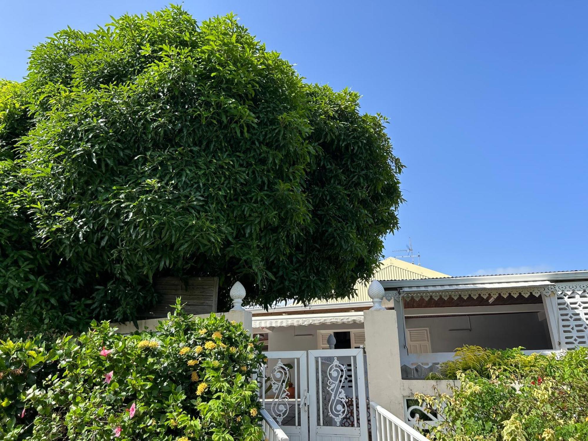 Villa A Louer A Sainte-Anne En Martinique Екстериор снимка
